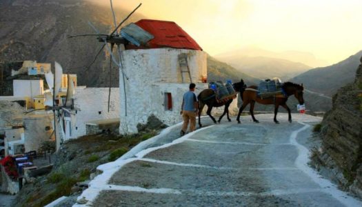 Εμπαιγμός του Δημοτικού Συμβουλίου η μελέτη ασφαλτοστρώσεων