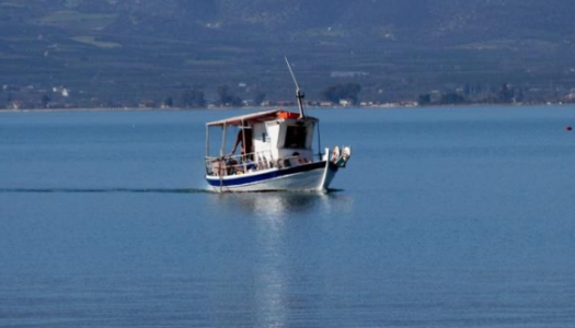 Επίκαιρη ερώτηση του Δημήτρη Γάκη προς τον κ. Υπουργό Αγροτικής Ανάπτυξης και Τροφίμων: Σε αχαρτογράφητα νερά η ερασιτεχνική αλιεία στην χώρα μας