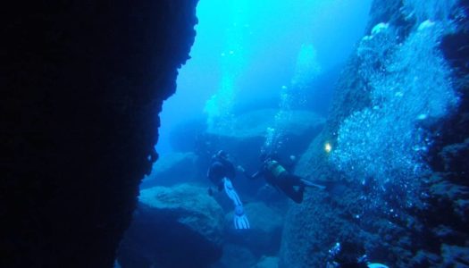 “ΟΜΟΝΟΙΑ” ΑΤΤΙΚΗΣ: Καλό Καλοκαίρι 2019