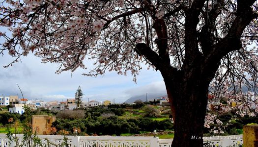 ΔΗΜΟΣ ΚΑΣΟΥ: Διαπιστώσεις της επιτροπής υγείας και του συντονικού οργάνου πολιτικής προστασίας του νησιού