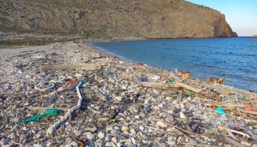 Τρίστομο Καρπάθου: ένας υγρότοπος μεγάλης οικολογικής σημασίας |Δράσεις καθαρισμού από τον Φορέα Διαχείρισης Προστατευόμενων Περιοχών Δωδεκανήσου