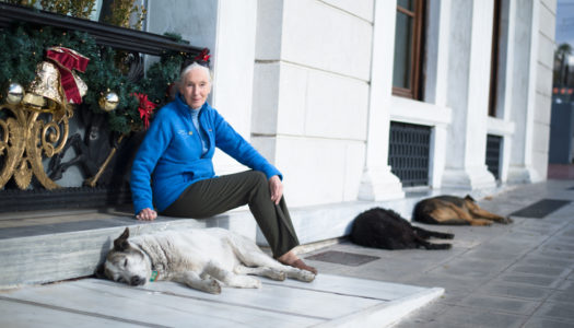 Dr. Jane Goodall: Αποστολή μηνύματος υποστήριξης στην καλή μεταχείριση των ζώων στην Κάρπαθο και στον δήμαρχο της Καρπάθου Γιάννη Νισύριο