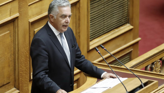 ΒΑΣΙΛΗΣ ΥΨΗΛΑΝΤΗΣ: Το Υπουργείο Αγροτικής Ανάπτυξης εξετάζει την ένταξη στις αποζημιώσεις του ΕΛΓΑ καταστροφών σε αγροκαλλιέργειας από ελάφια