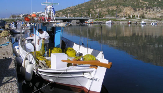 Αλιευτικός τουρισμός, μοχλός ανάπτυξης