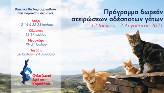 Φιλοζωική Δράση Καρπάθου-Animal Welfare karpathos :Πρόγραμμα Καμπάνιας Στειρώσεων Αδέσποτων 2021