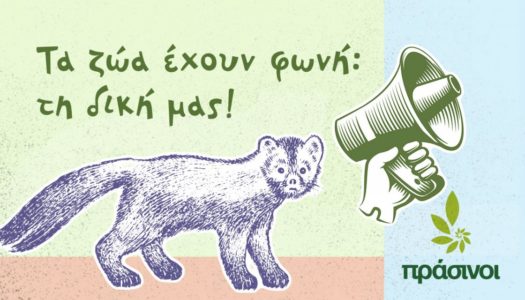 ΠΑΓΚΟΣΜΙΑ ΗΜΕΡΑ ΖΩΩΝ