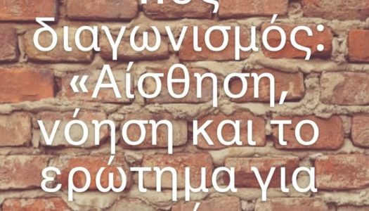 Μεγάλη διάκριση της Άννας Αλ. Νιοτή, από το Απέρι Καρπάθου, μαθήτρια της Γ’ Λυκείου,Λεόντιος Αθηνών, στον τελικό του 11ου Παννελήνιου Διαγωνισμού Φιλοσοφίας