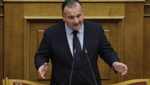 ΙΩΑΝΝΗΣ ΠΑΠΠΑΣ: Προτάσεις για την ανεξέλεγκτη βόσκηση