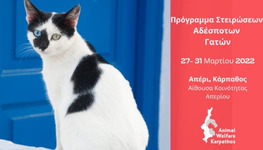 Πρόγραμμα Στειρώσεων Γατών 27-31 Μαρτίου 2022,Απέρι Κάρπαθος- Spay Neuter Program March 2022 Aperi Karpathos