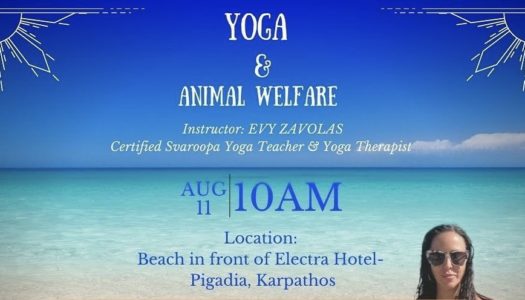 Animalwelfare Karpathos: We are excited to offer another fundraising yoga event, this time with Evy Zavolas (@evykalyani) who is visiting from the USThursday, August 11th, 2022    10AM    Beach in front of Electra Hotel, Pigadia Karpathos