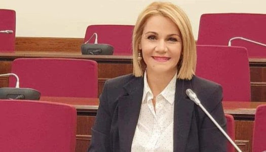 Ομόφωνα αποδεκτή η εισήγηση της Μίκας Ιατρίδη για τη Νησιωτικότητα και την Εδαφική Συνοχή. Θα περιληφθεί σε ειδική έκδοση της Βουλής