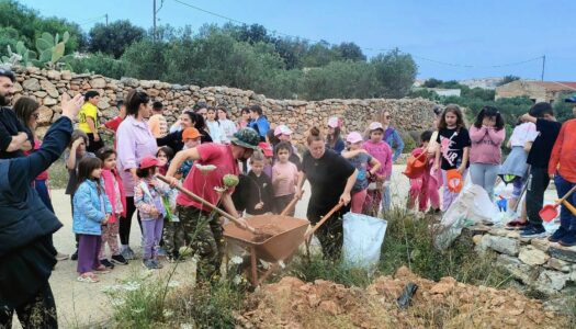 Πολιτιστικός Σύλλογος Αρβανιτοχωρίου: Δενδροφυτεύση 22 διαφόρων δενδρυλλίων (χαρουπιές, ακακίες) κατά μήκους της καθόδου του κεντρικού δρόμου του Αρβανιτοχωρίου