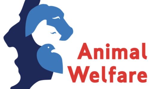 Animal Welfare Karpathos – Φιλοζωική Δράση Καρπάθου:Πρόγραμμα Σίτισης Aδέσποτων Δήμου Καρπάθου