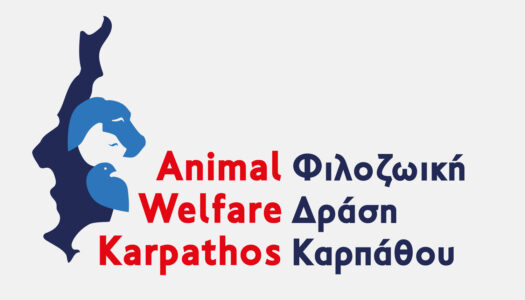 Εγγραφή της ΦΔΚ στο Εθνικό Μητρώο Ζώων Συντροφιάς | Φιλοζωΐκή Δράση Καρπάθου (Animal Welfare Karpathos)